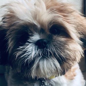 Meet your Posher, Angel